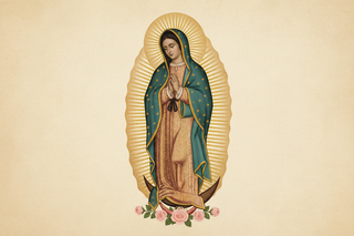 Guadalupe Collection