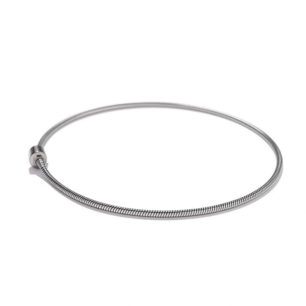 Snake Chain Charm Necklace