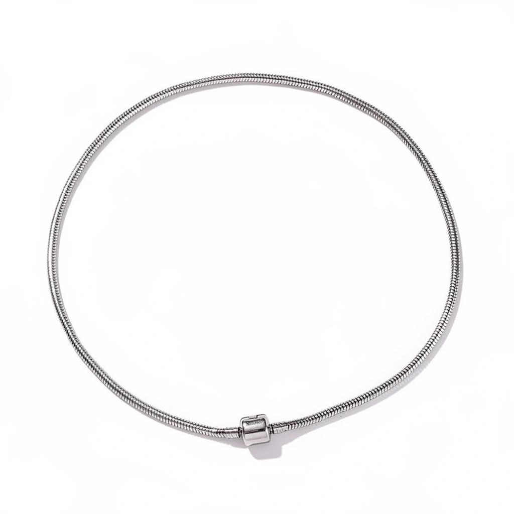 Snake Chain Charm Necklace